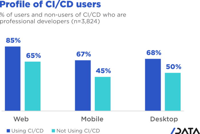 profile of ci/cd users